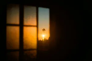Puesta de sol vista a través de una ventana con la silueta de una palmera