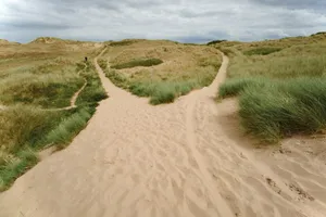 Camino de arena que se divide en dos entre dunas cubiertas de hierba