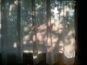 Cortina de tela semitransparente con la luz y las sombras de unos árboles