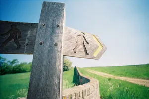 Poste de madera con señales de sendero que indican el camino entre prados verdes